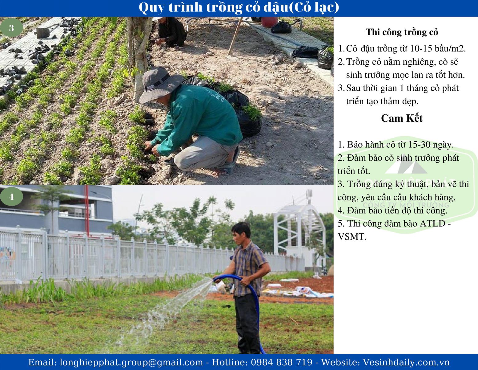Dịch vụ trồng cỏ đậu ở KCN Đồng An Bình Dương