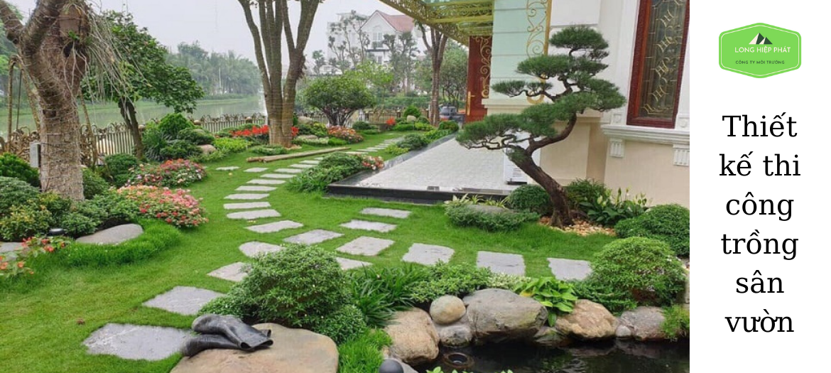 TRồng cỏ Sân vườn ở Tây Ninh