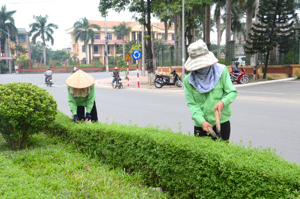 Dịch vụ chăm sóc cây xanh ở Tây Ninh