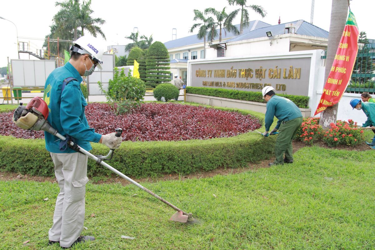 Công ty chăm sóc cỏ ở Nam Tân Uyên Binh Dương