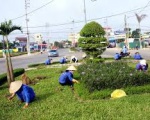 Dịch vụ chăm sóc cây xanh tại Bình Dương | Đồng Nai