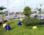Dịch vụ cắt tỉa cây xanh tại Bình Dương