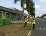 Dịch vụ cắt cỏ tại Bình Dương giá rẻ